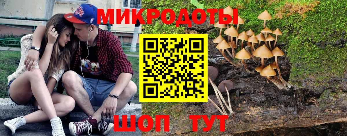 Галлюциногенные грибы Magic Shrooms  Вход с VPN  где можно купить   Алейск 