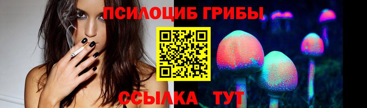 Галлюциногенные грибы Cubensis Алейск