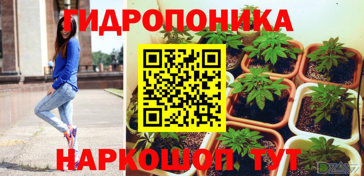 Алейск  Бошки марихуана VHQ  Вход с VPN  Конопля сатива  Бошки марихуана LSD WEED 